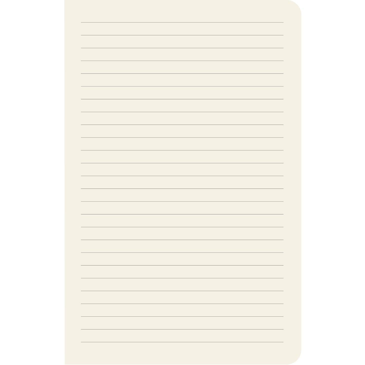 Lisette vs. Skunk Notebook
